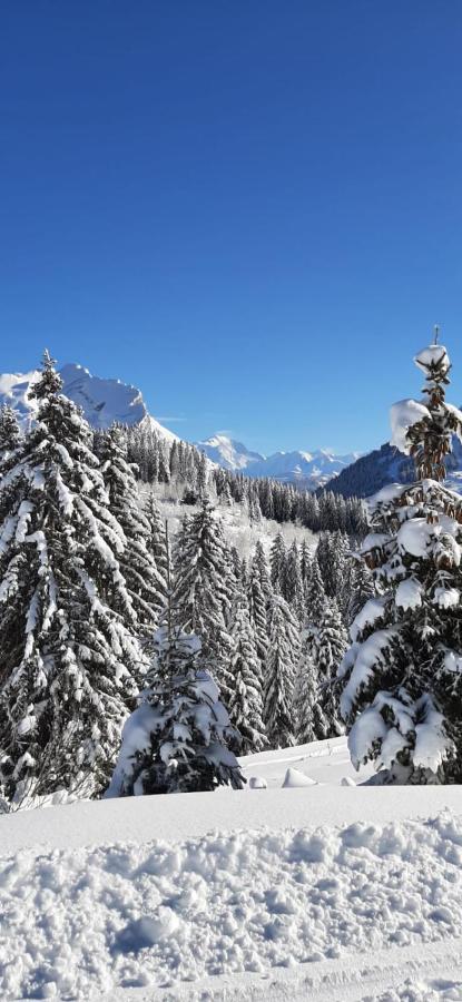 Studio Marmotte Font-Romeu 4 Personnes Avec Balcon Residence Val Soleil Entierement Renove En Juin 2021 Place De Parking & Wifi Gratuit , Draps & Serviettes De Toilettes Non Inclus, Sabanas Y Toallas No Incluidos Luaran gambar